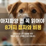 강아지파양 전 새로운 가족을 기다리며 보호소에서 케어받고 있는 강아지의 모습