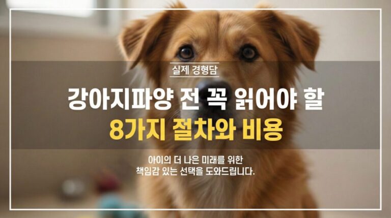 강아지파양 전 새로운 가족을 기다리며 보호소에서 케어받고 있는 강아지의 모습