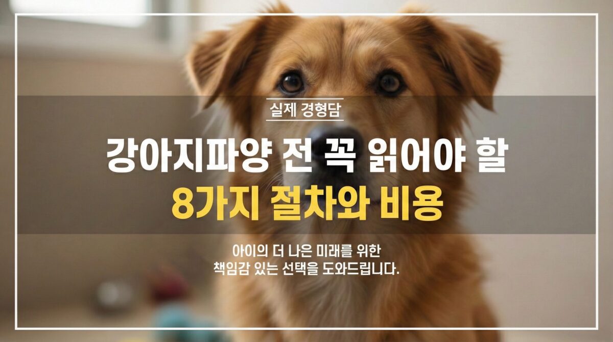 강아지파양 전 새로운 가족을 기다리며 보호소에서 케어받고 있는 강아지의 모습