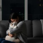 고양이파양 전 반드시 확인해야 할 7가지 대안과 안심 보호소 가이드