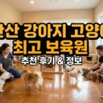 안산고양이파양 후 안산동물보육원에서 쾌적하게 보호받고 있는 고양이들과 관리사 모습