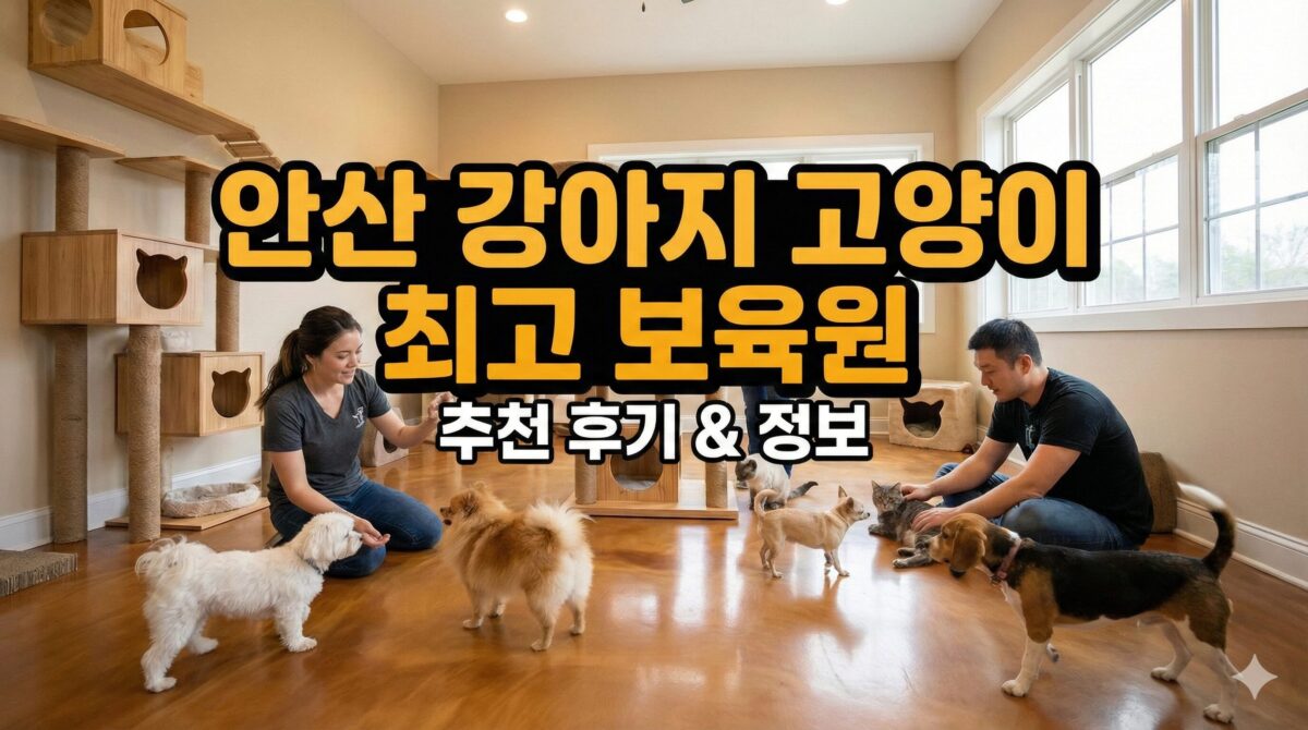 안산고양이파양 후 안산동물보육원에서 쾌적하게 보호받고 있는 고양이들과 관리사 모습
