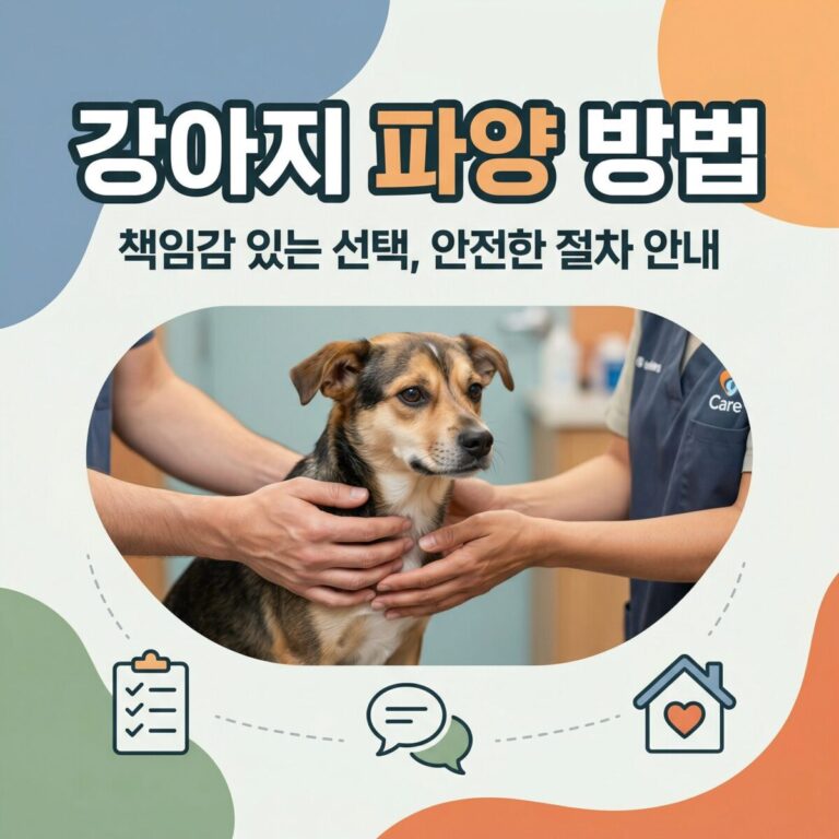 강아지파양방법