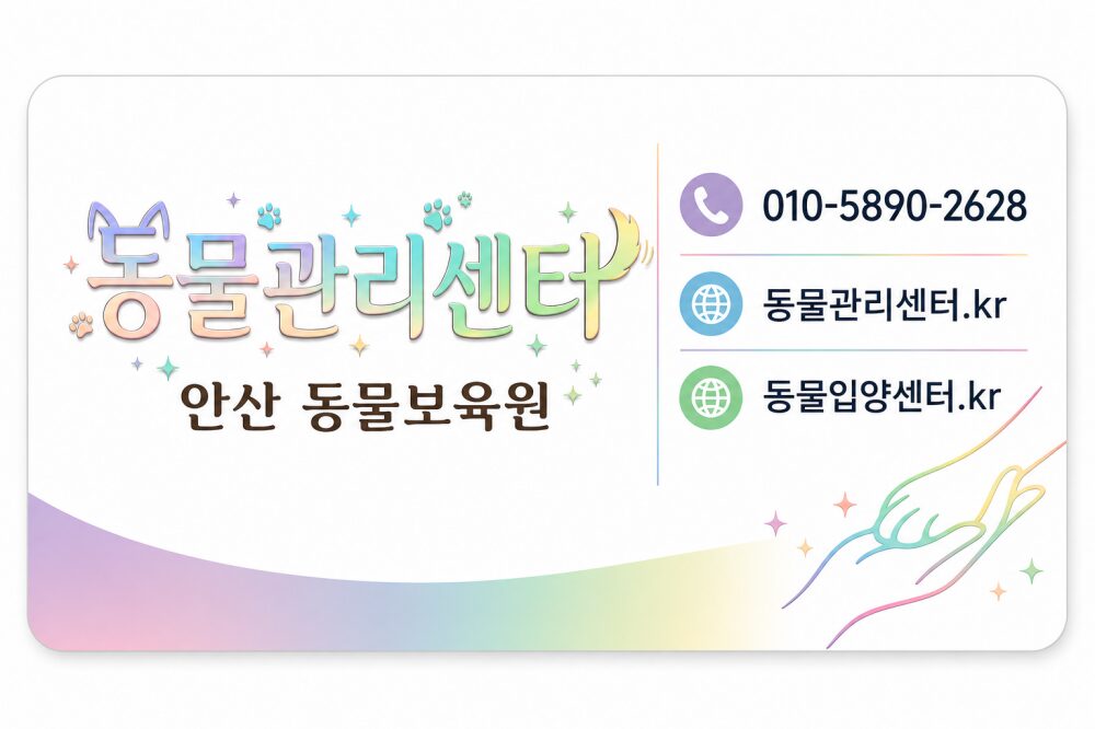 화성고양이파양