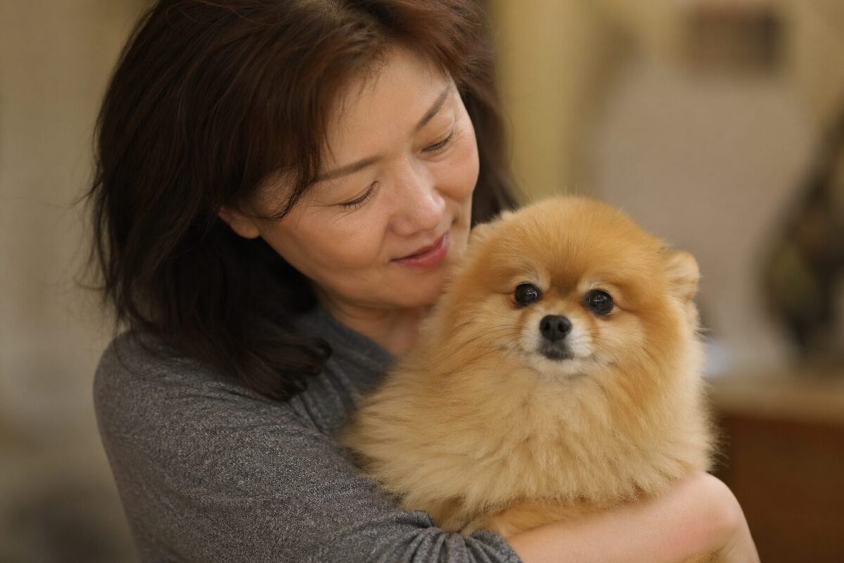 부천강아지파양 동물관리센터 포메라니안 뭉이 입소