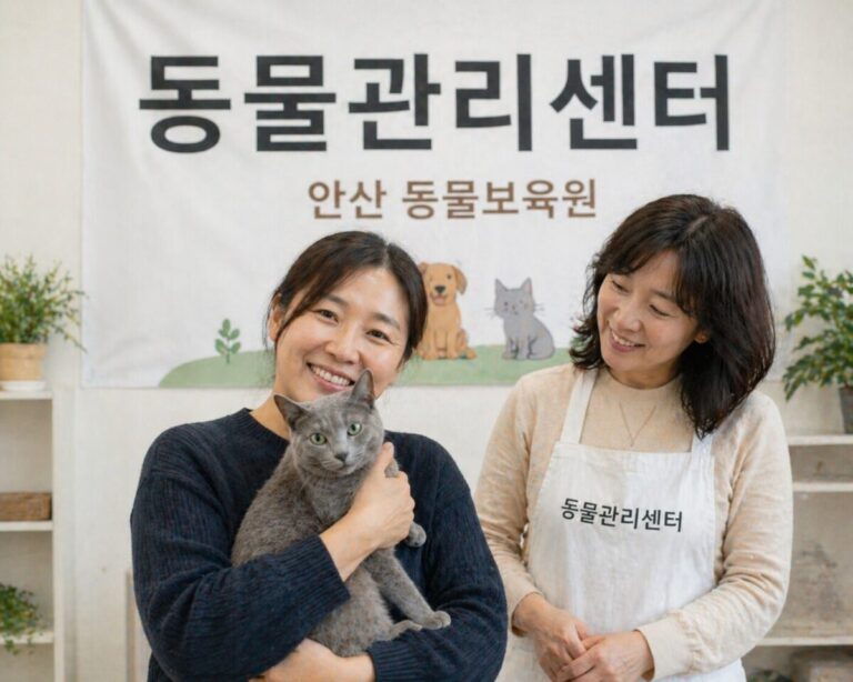 화성고양이파양 동물관리센터 달콤이 보육원 적응 모습