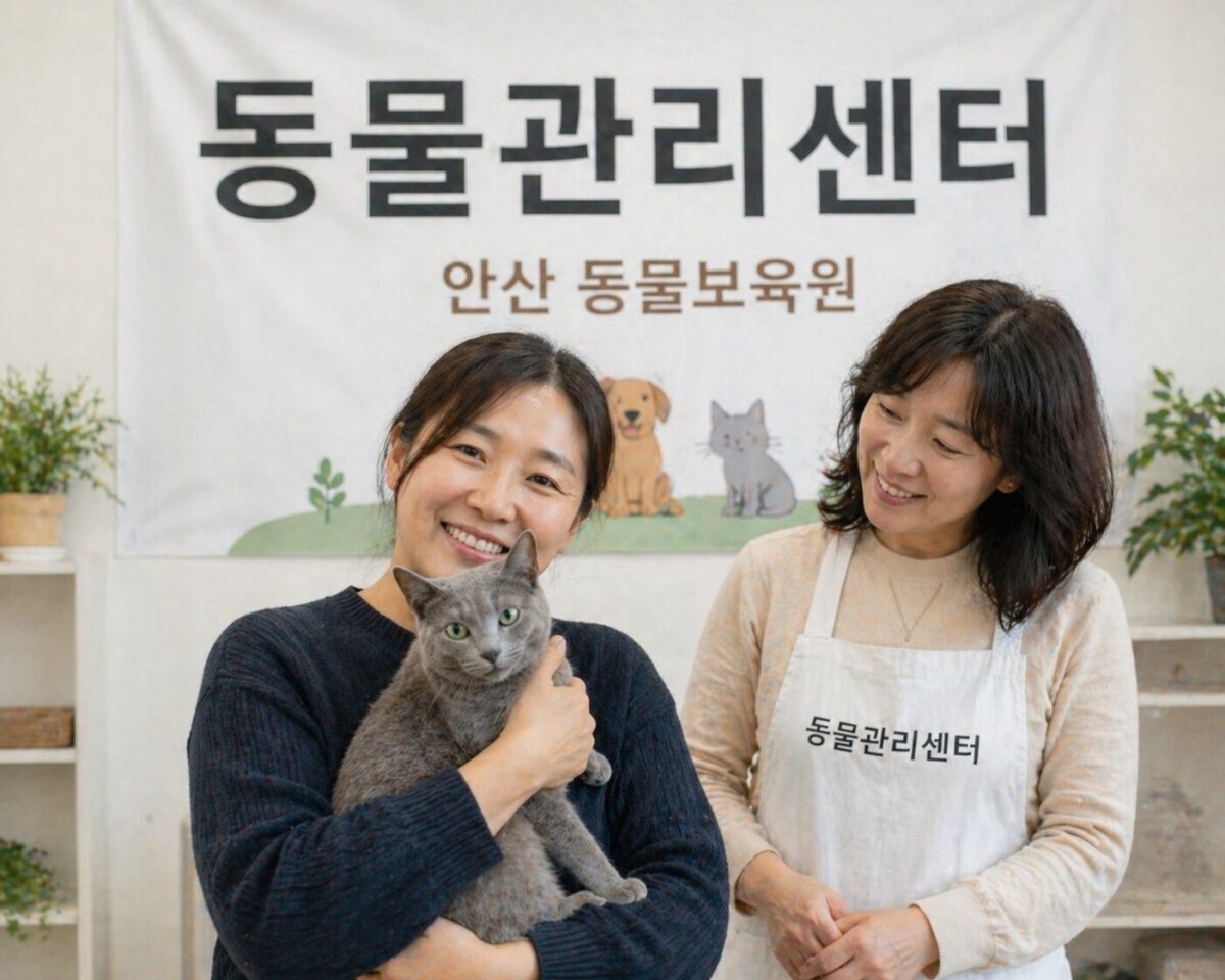 화성고양이파양 동물관리센터 달콤이 보육원 적응 모습
